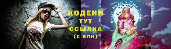 мдпв Липки