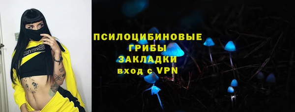 мдпв Липки