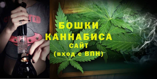 Альфа ПВП Лиски
