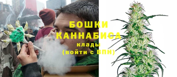 Альфа ПВП Лиски