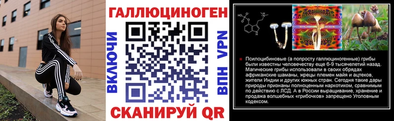 Купить  Новозыбков  Псилоцибиновые грибы мицелий 
